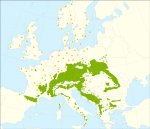 Répartition du sapin pectiné (Abies alba)