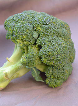 chou brocoli
