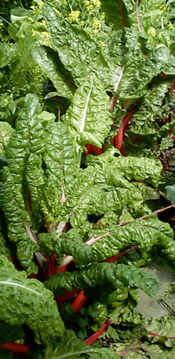 poirée